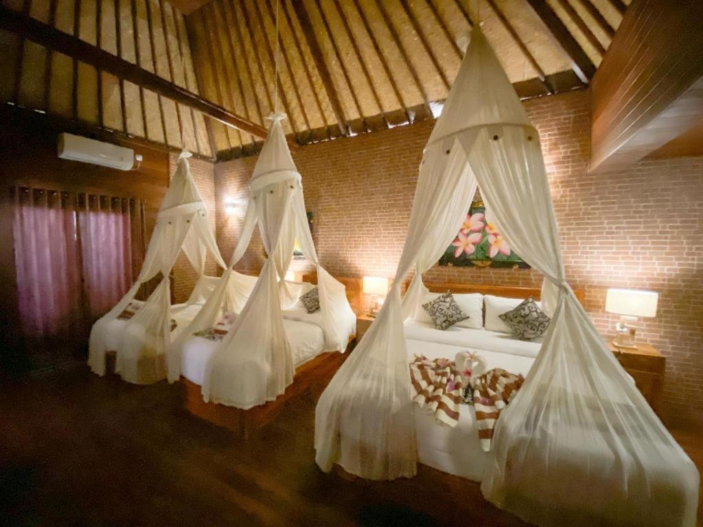 Pattri Dihati Lembongan Zimmer foto