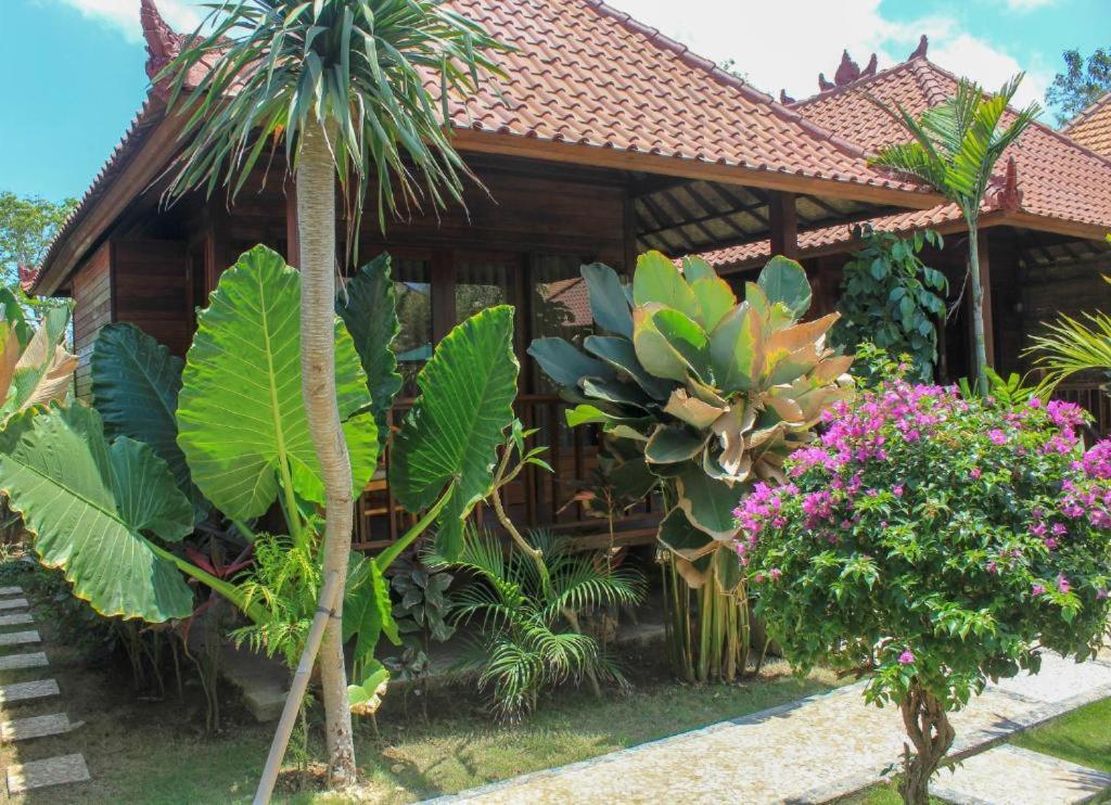 Pattri Dihati Lembongan Zimmer foto